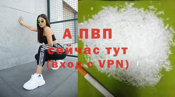 бошки Касимов