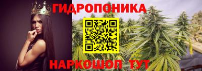 шишки Бугуруслан
