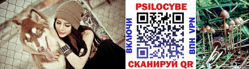 Псилоцибиновые грибы прущие грибы  Ногинск 